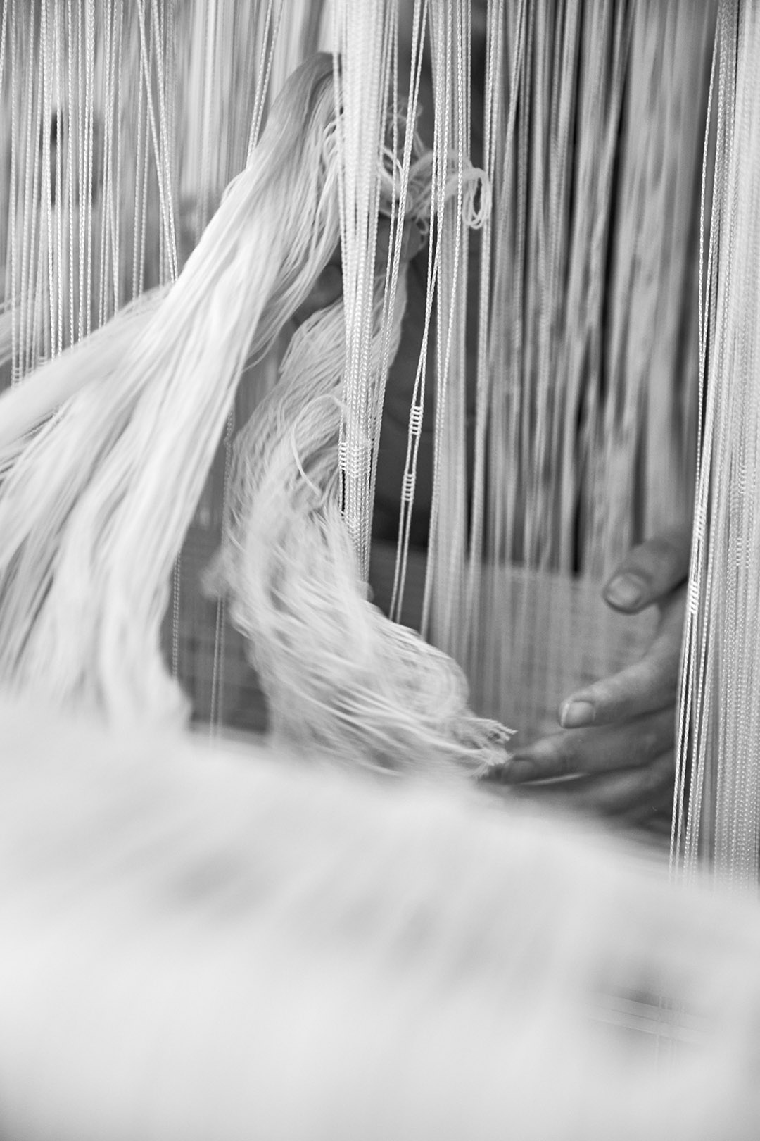 Al_Nour_by_Anjali_Janssens_54683_d