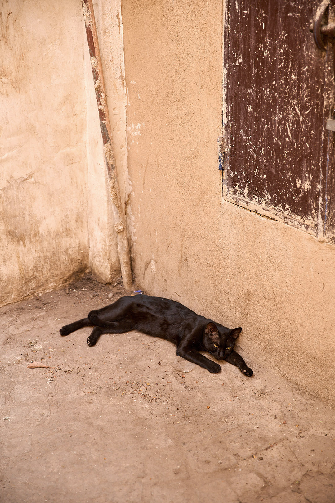 Al_Nour_by_Anjali_Janssens_54954