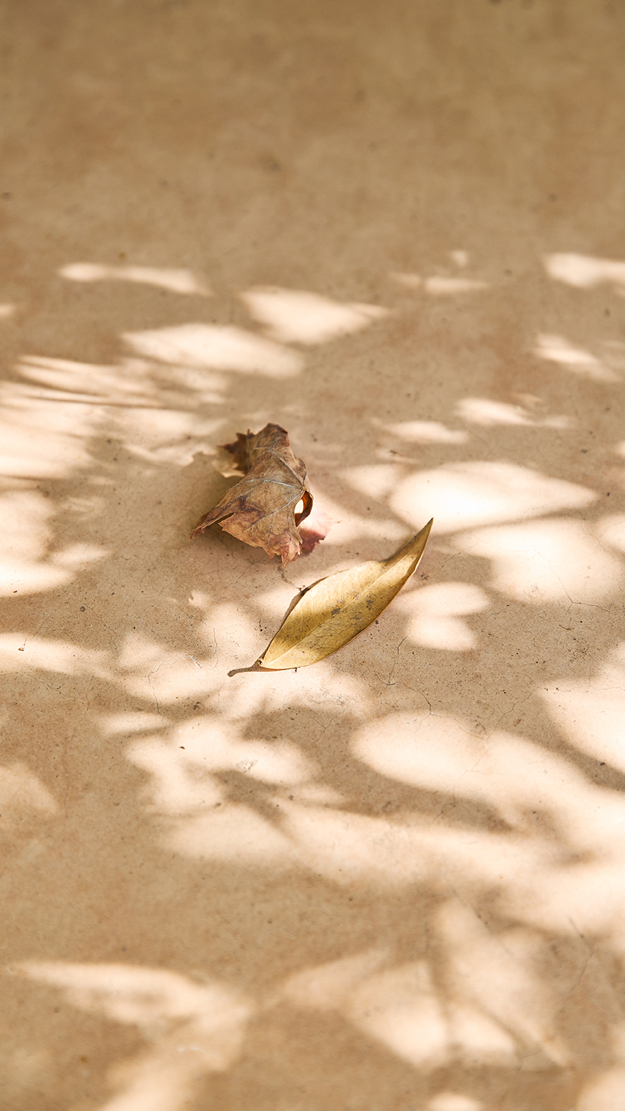 Anjali_Janssens_Photography_09-1