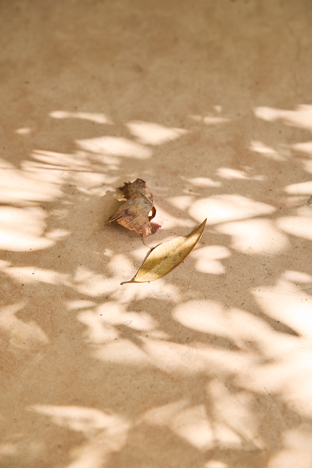 Anjali_Janssens_Photography_09