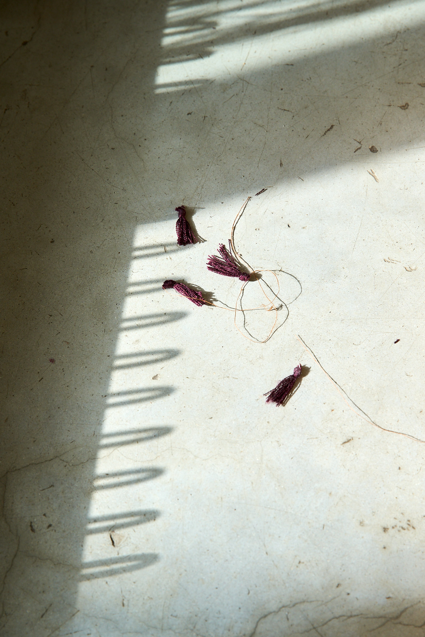 Anjali_Janssens_Photography_13